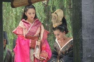 母仪天下电视剧