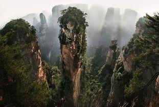 张家界吃瓜爆料,揭秘当地美食背后的故事